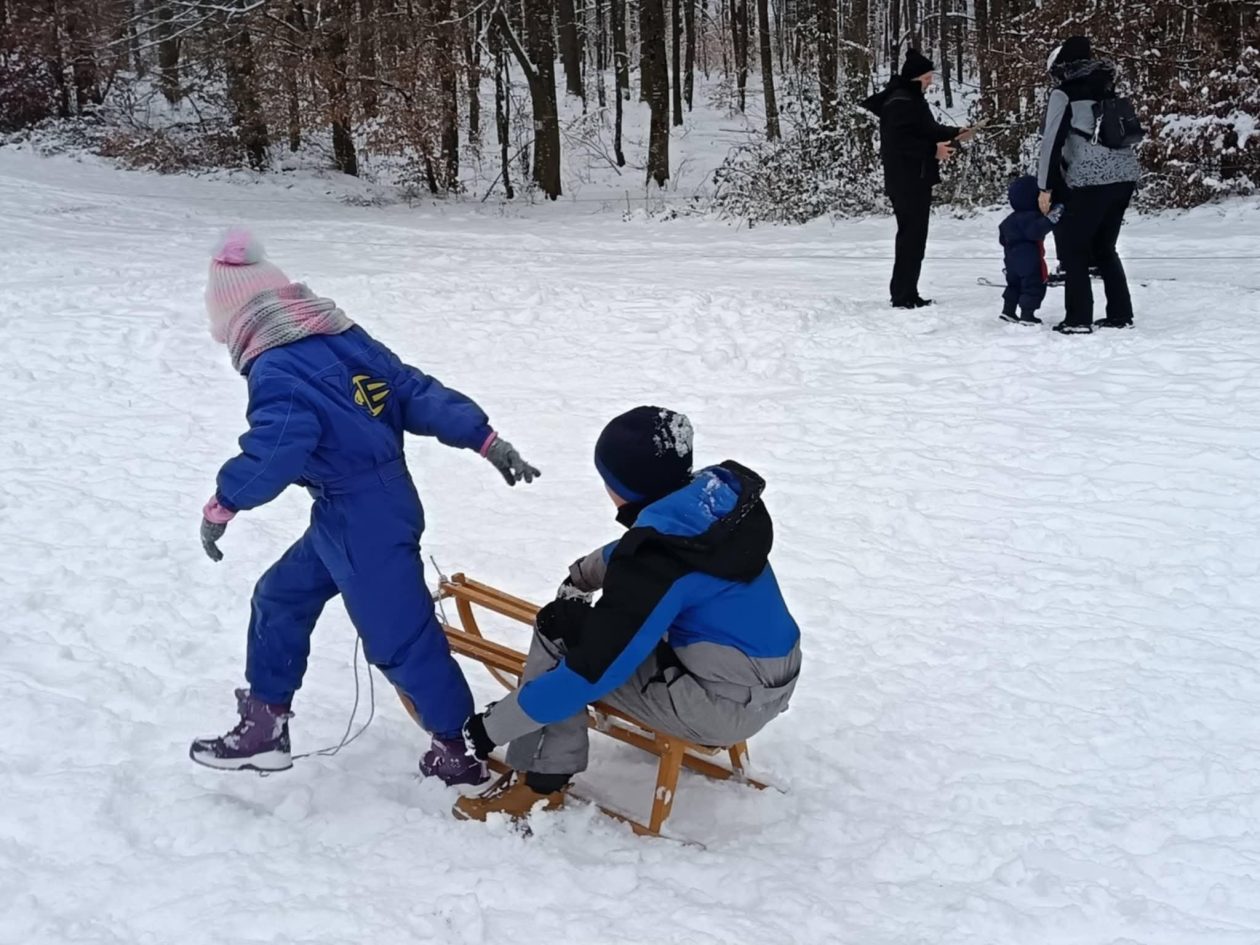 3d87cb8f-a66c-414b-960e-56669f32532e