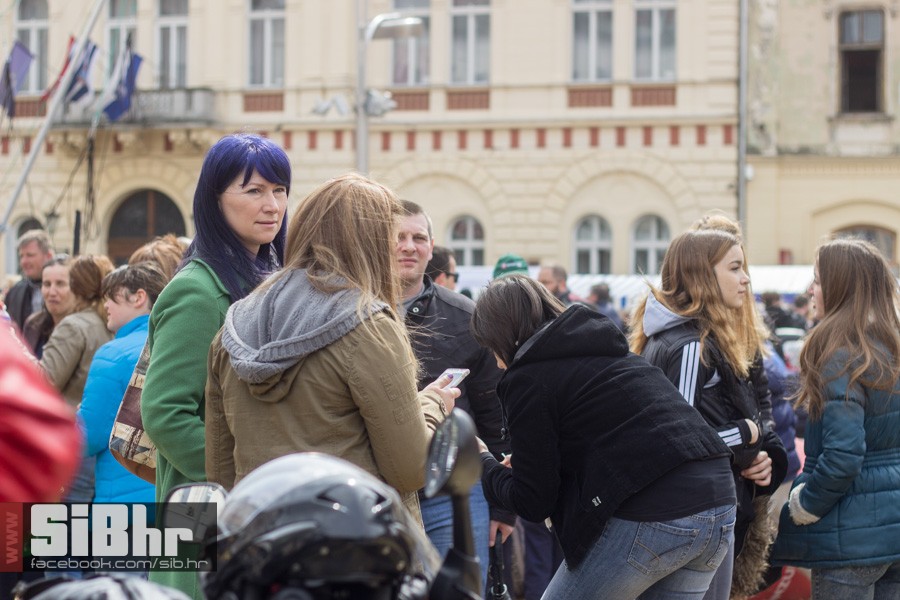 gnijezdo2015_31