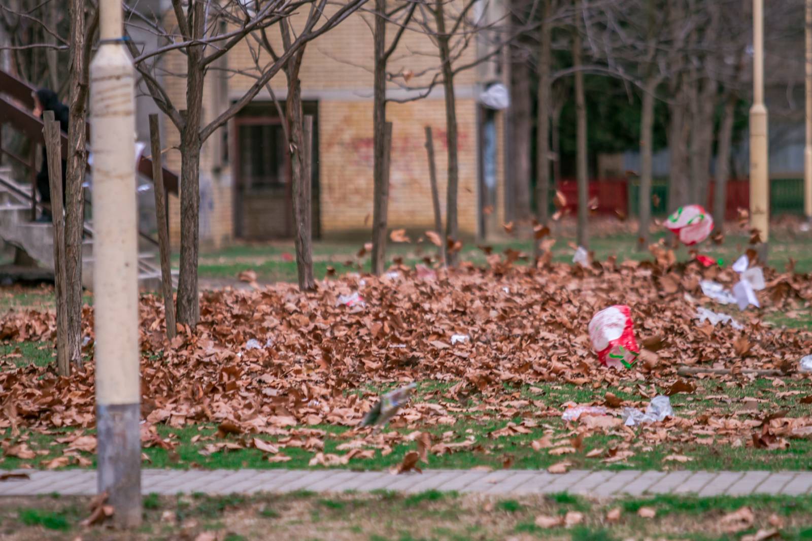 Vjetar pravi probleme po osječkim ulicama