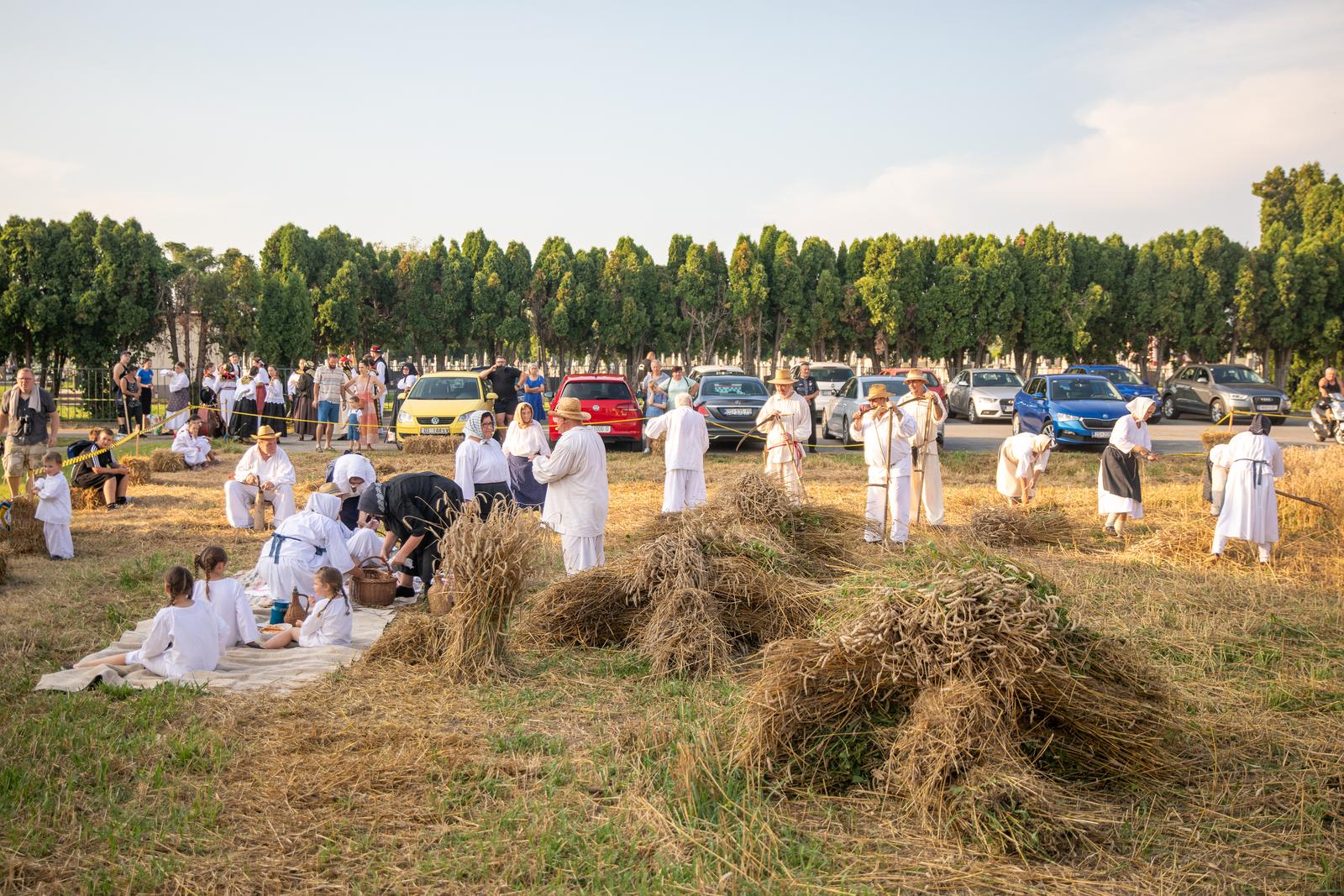 Održane jubilarne 30. Petrijevačke žetvene svečanosti
