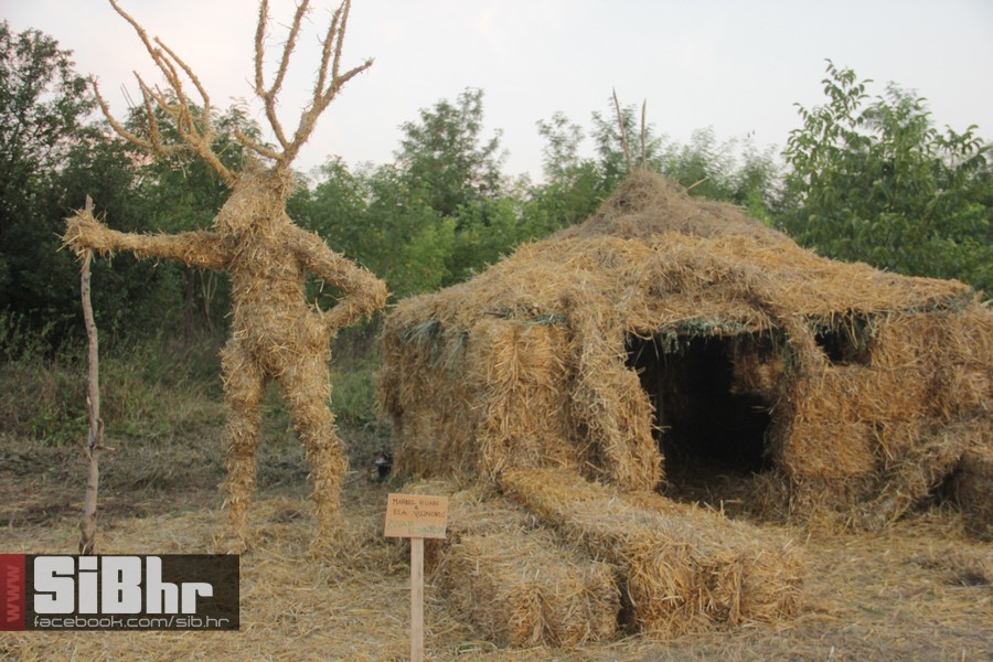 slama2015_subota_SiBhr43