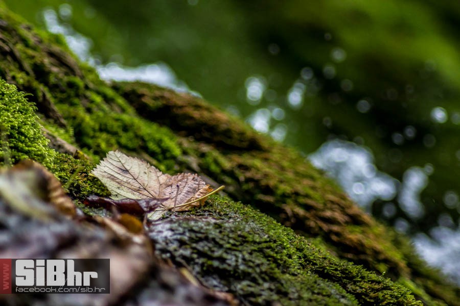 park_prirode_jankovac_55