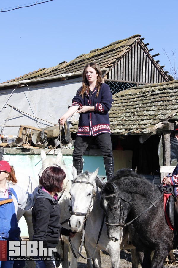 baranja_jahanje_32 baranja_jahanje_32