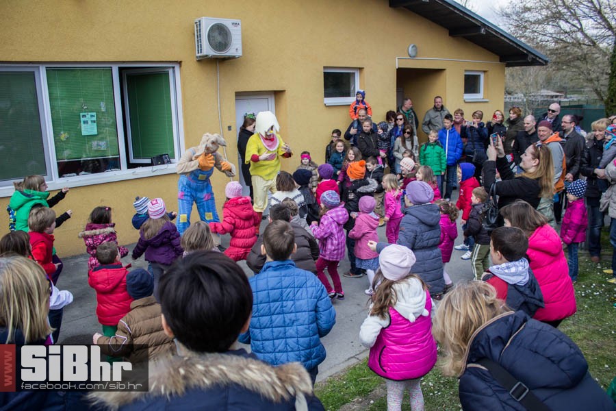 zoo_vrt_118