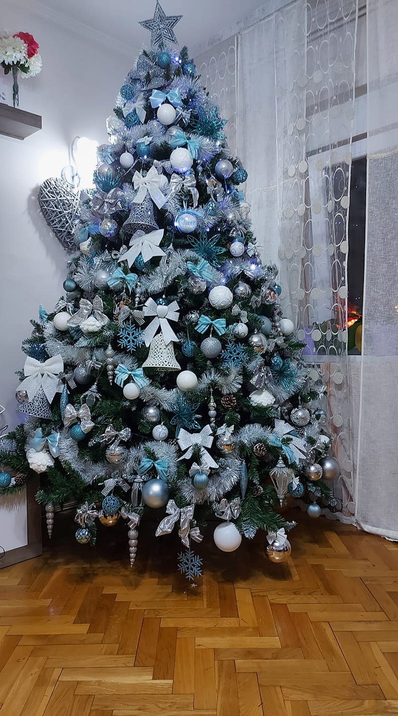 Božićna drvca čitatelja SiB.hr