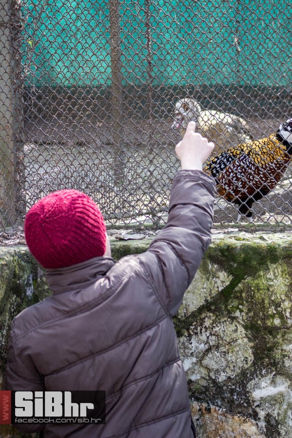 zoo_vrt_67