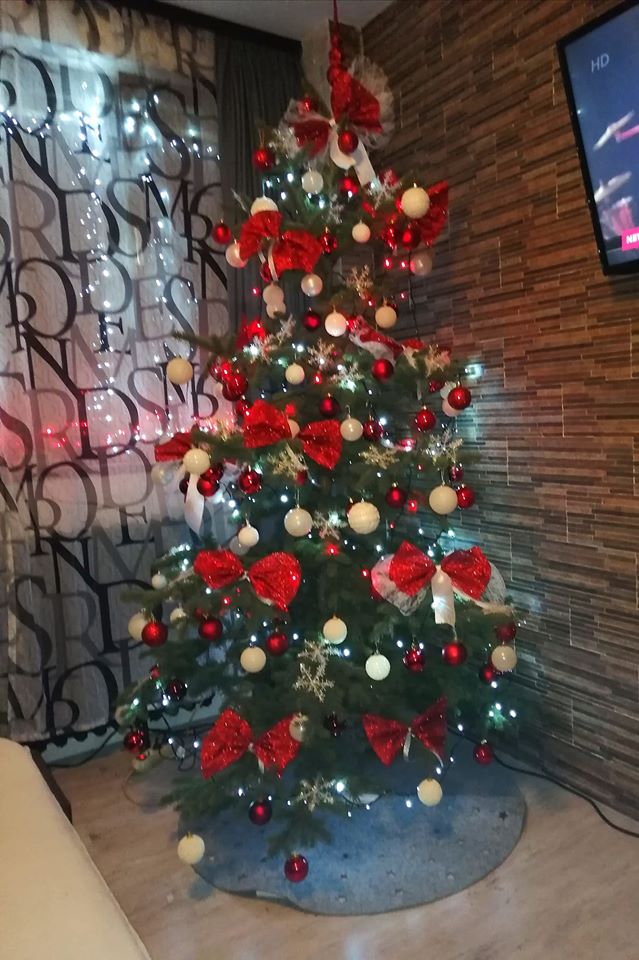Borovi čitatelja portala SiB.hr