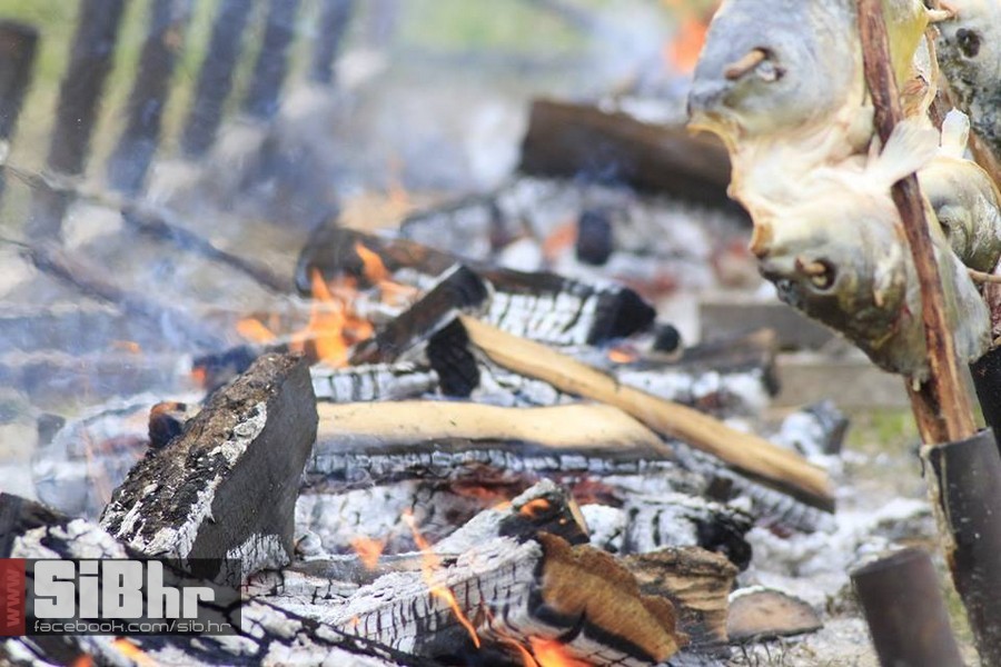 dani_ribe_SiB_hr_27 dani_ribe_SiB_hr_27