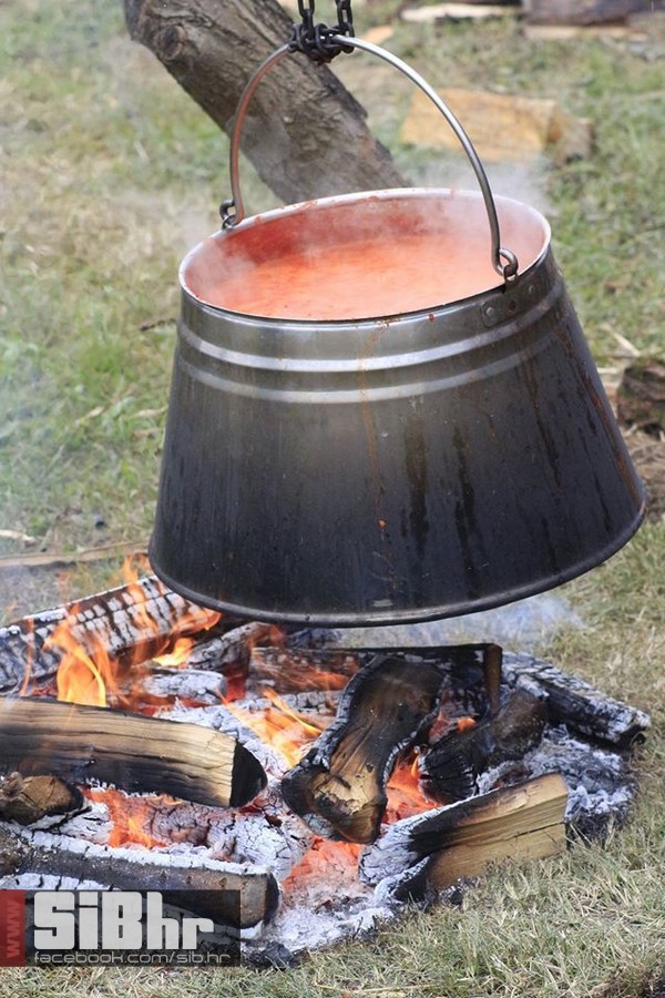 dani_ribe_SiB_hr_14 dani_ribe_SiB_hr_14