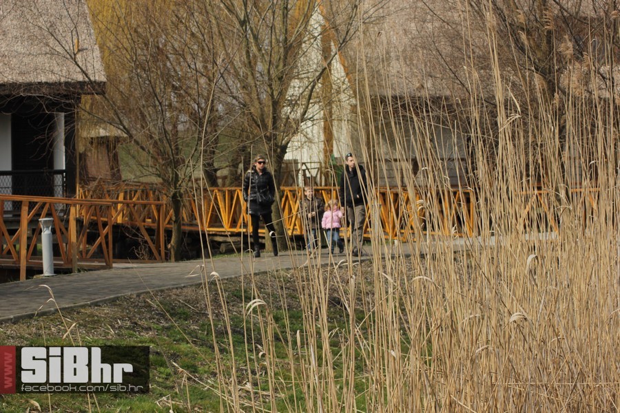 kopacki_rit_ozujak2015_SiBhr_8