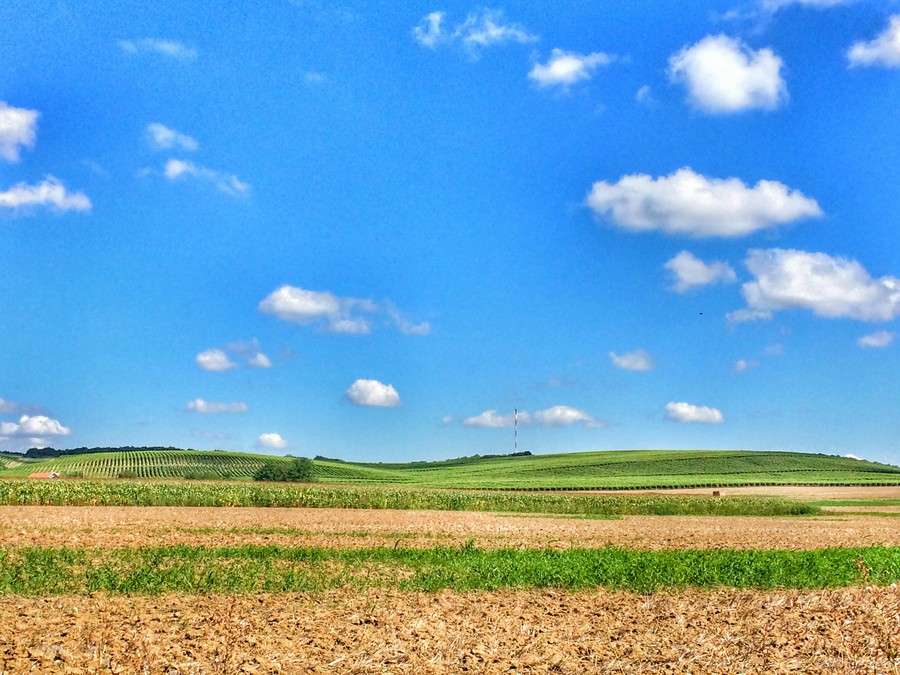 baranja_by_gordan_trtanj_SiBhr_