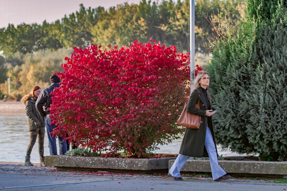 Nedjeljna šetnja promenadom