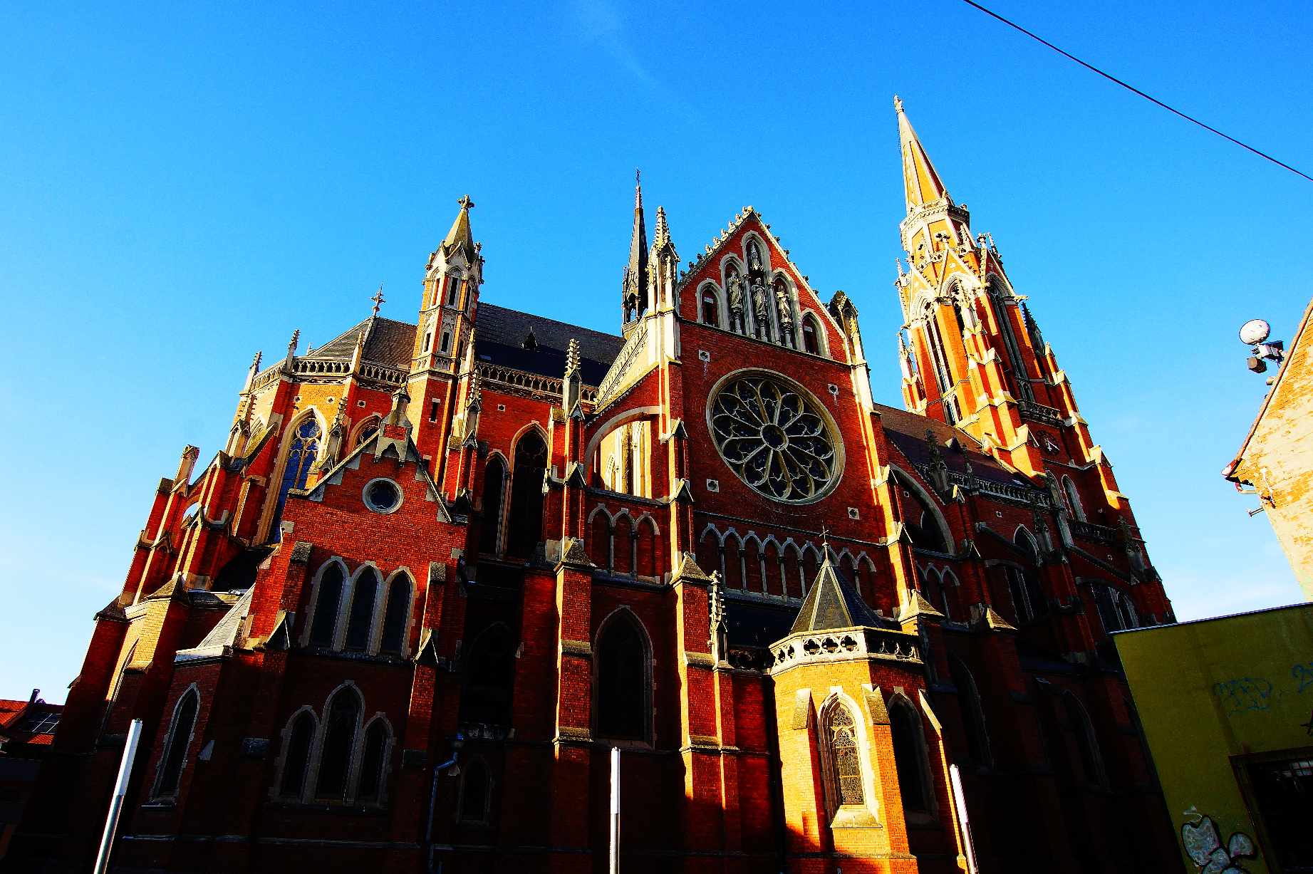 Grad na Dravi, Zoološki vrt i Kopački rit iz perspektive Tonija Šimunića