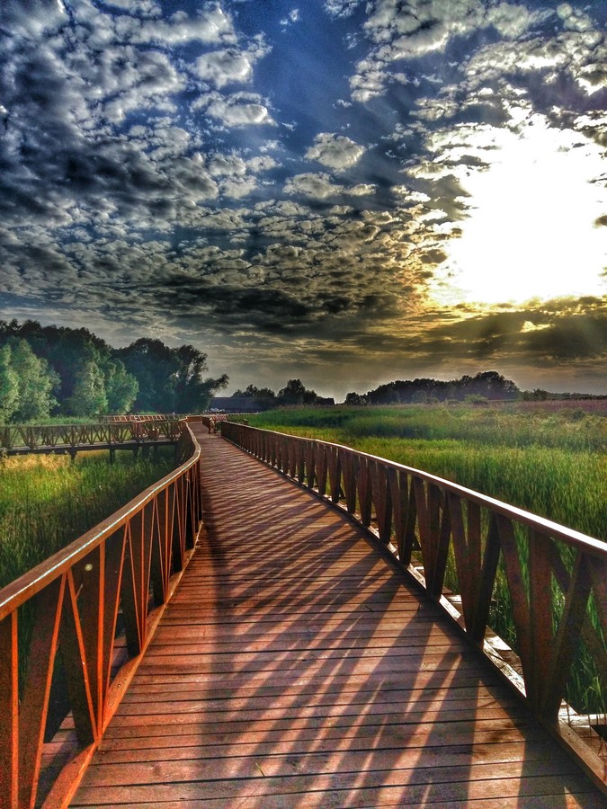 baranja_by_gordan_trtanj_SiBhr_