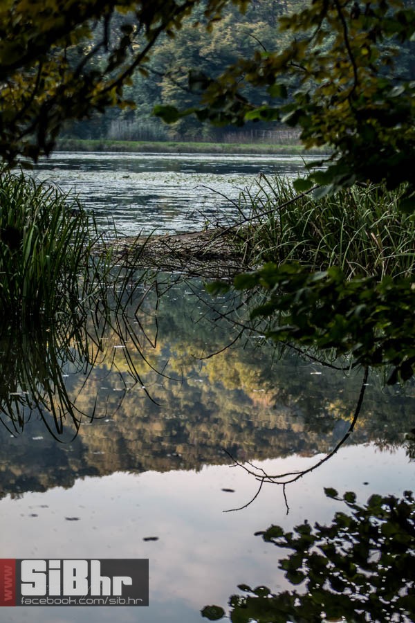 park_prirode_jankovac_25