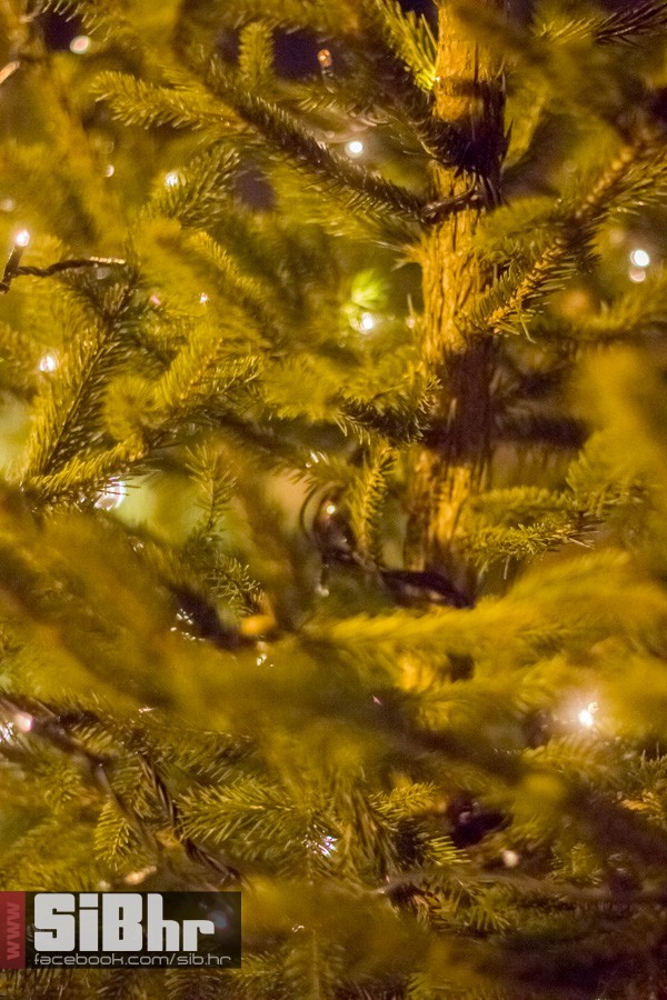 advent_treca_nedjelja_2015_SiBh