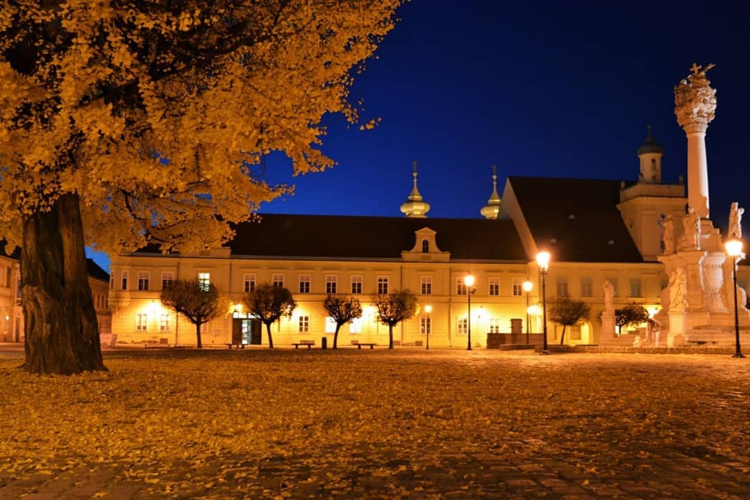 Ginko u osječkoj Tvrđi