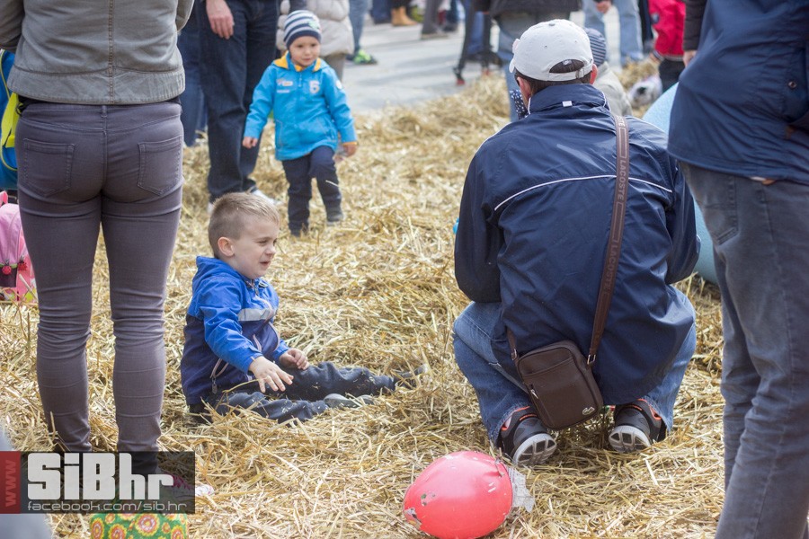 gnijezdo2015_55