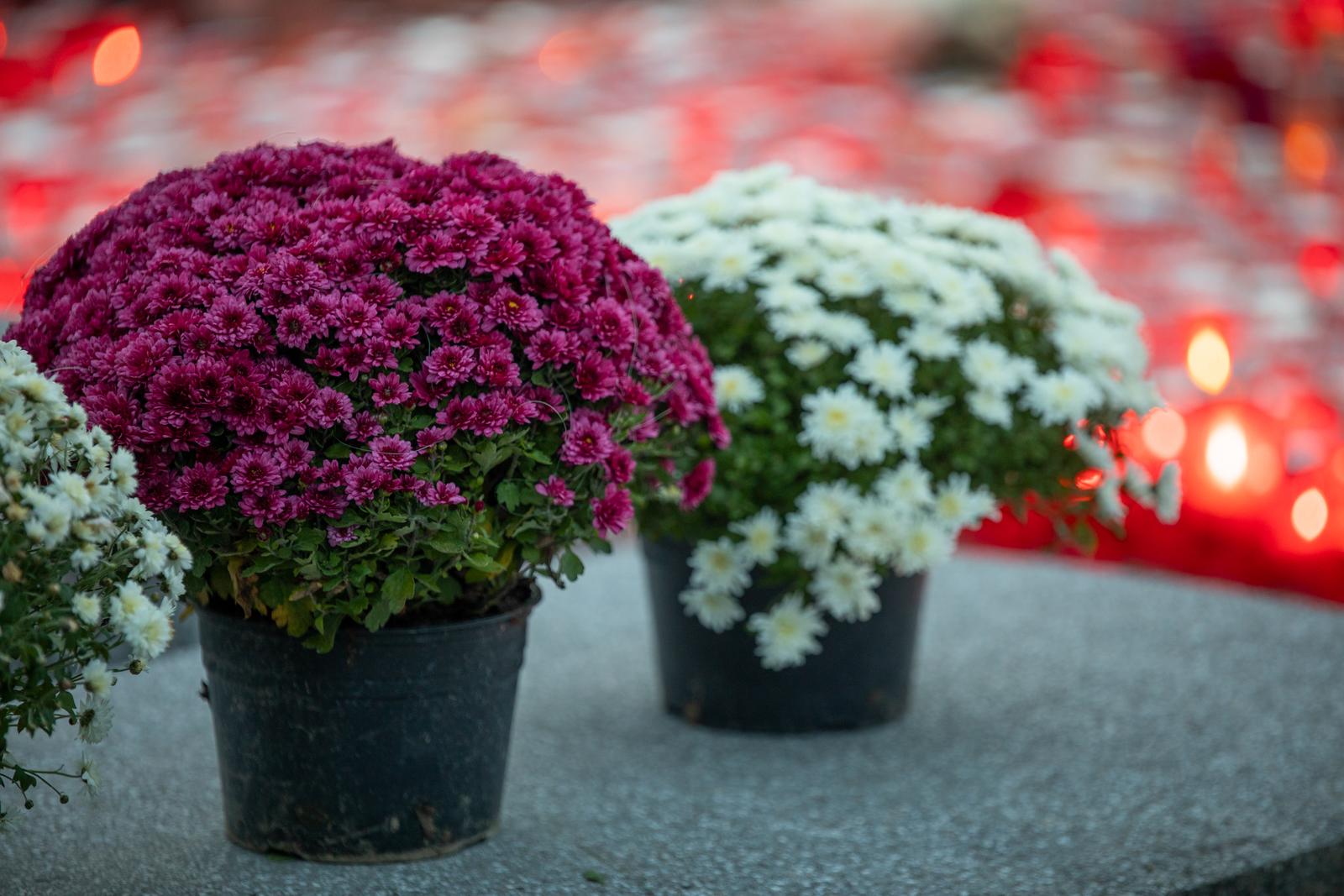 Paljenje svijeća na osječkom Groblju svete Ane