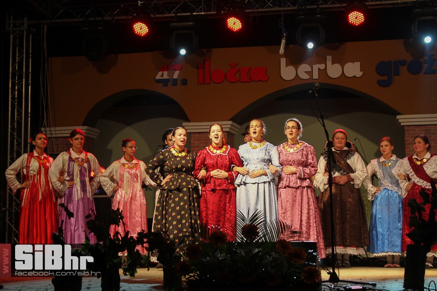 ilocka_berba_1_SiB_hr_72