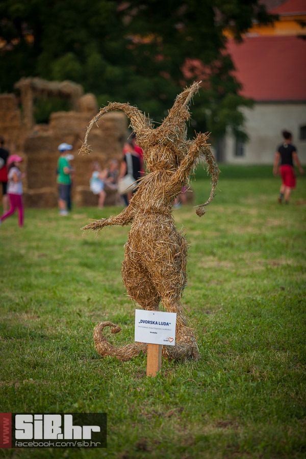 slama_subota_13072013_sibhr_mba