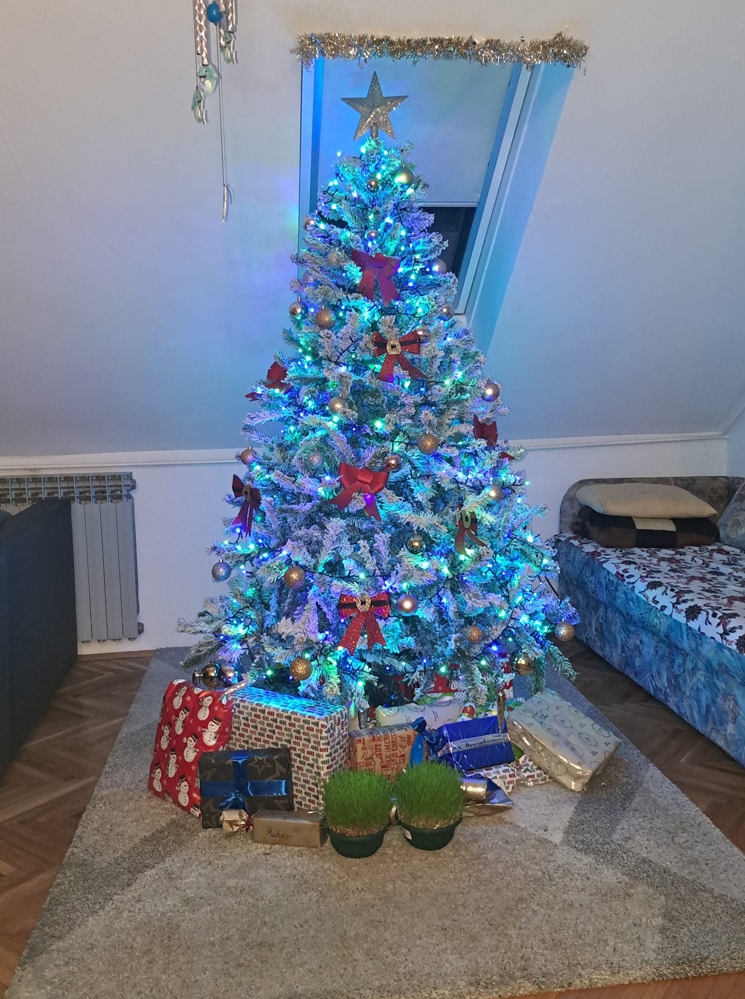 Najljepši borovi na Božić 2023. Najljepši borovi na Božić 2023.