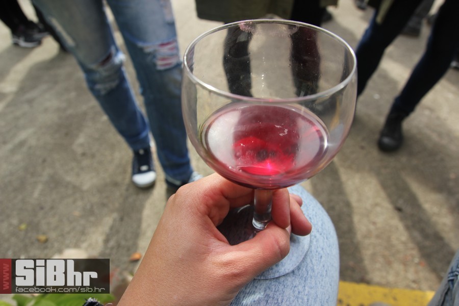 vinski_maraton_zamjevac_SiBhr_2 vinski_maraton_zamjevac_SiBhr_2