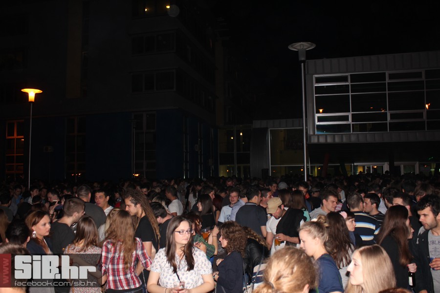 dc_party_sib
