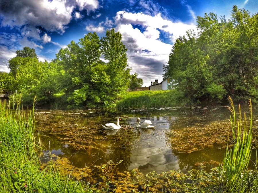 baranja_by_gordan_trtanj_SiBhr_