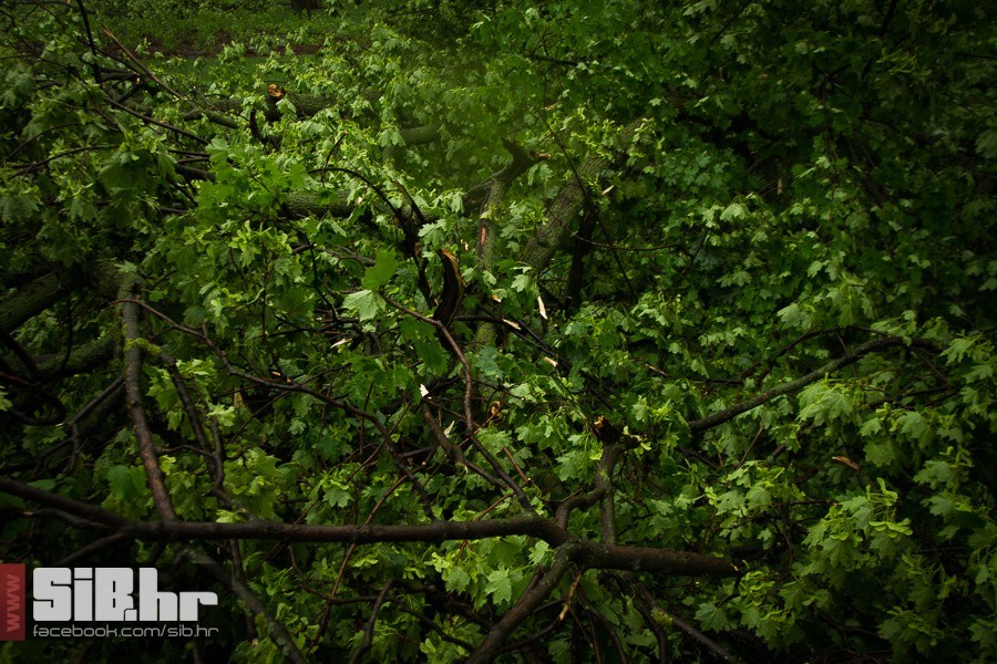 unisten_zrinjevac_11052013_sibh unisten_zrinjevac_11052013_sibh
