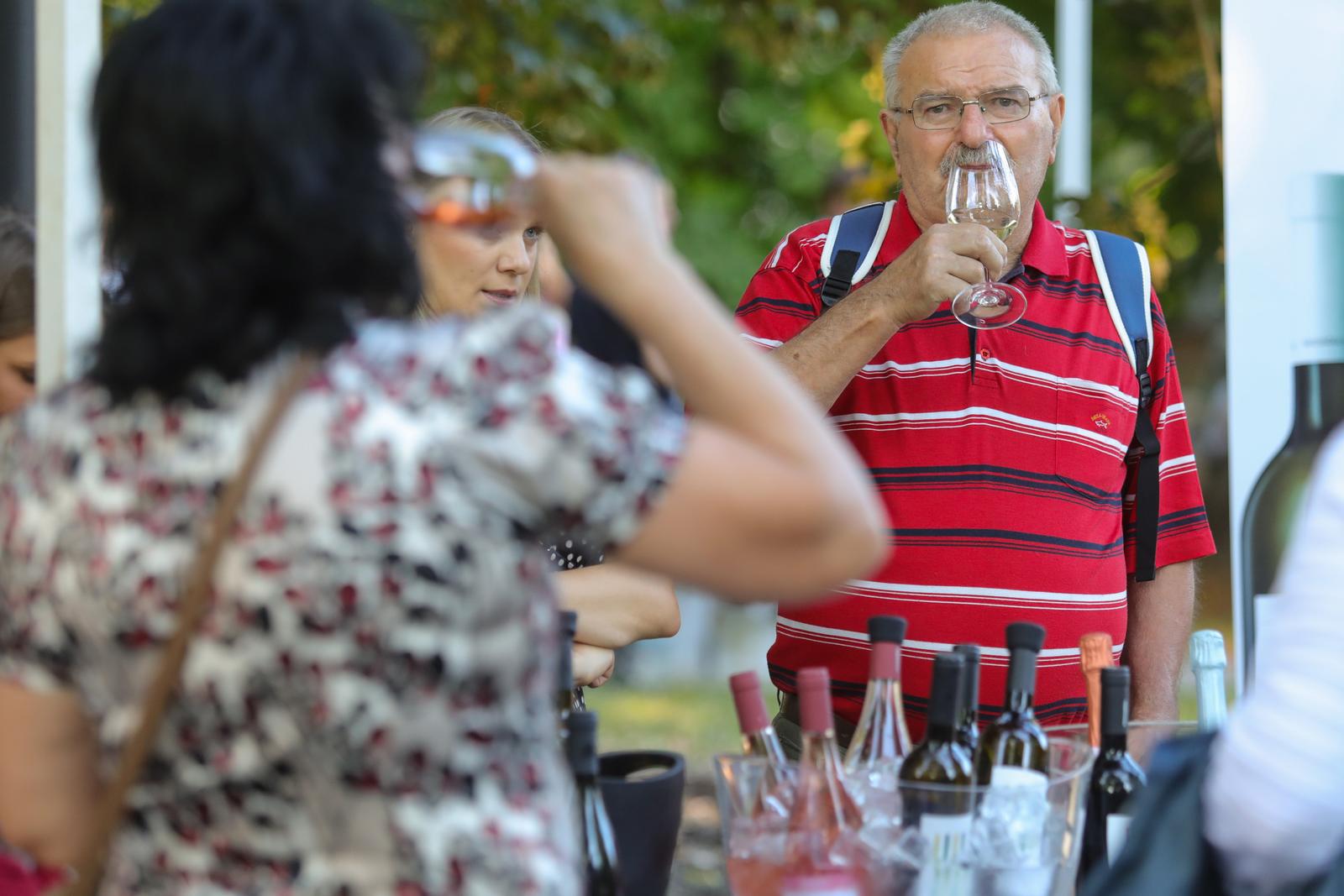 Večeri vina i umjetnosti, srpanj 2022.