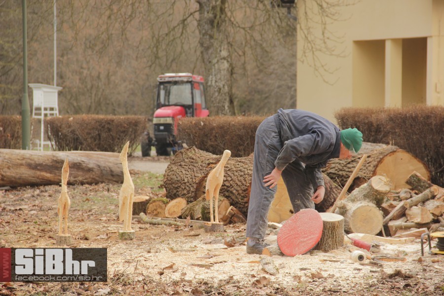 kopacki_rit_ozujak2015_SiBhr_30