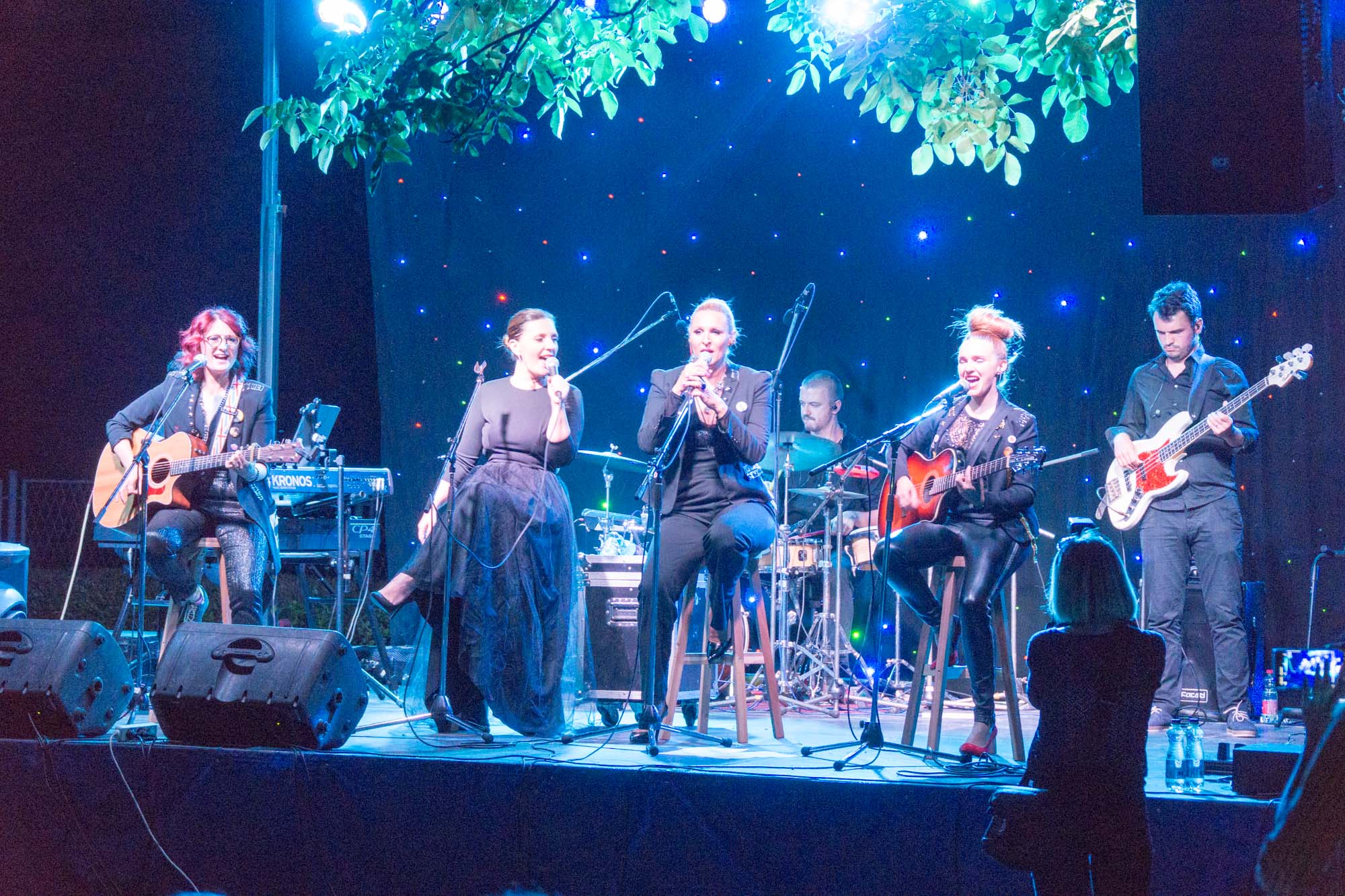 DunavArt Festival u Erdutu