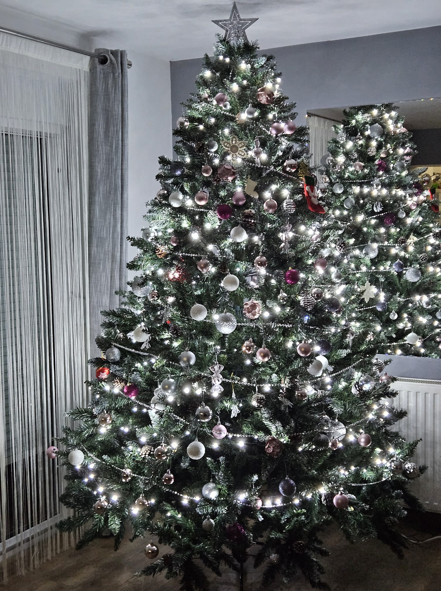 Najljepši borovi na Božić 2023. Najljepši borovi na Božić 2023.