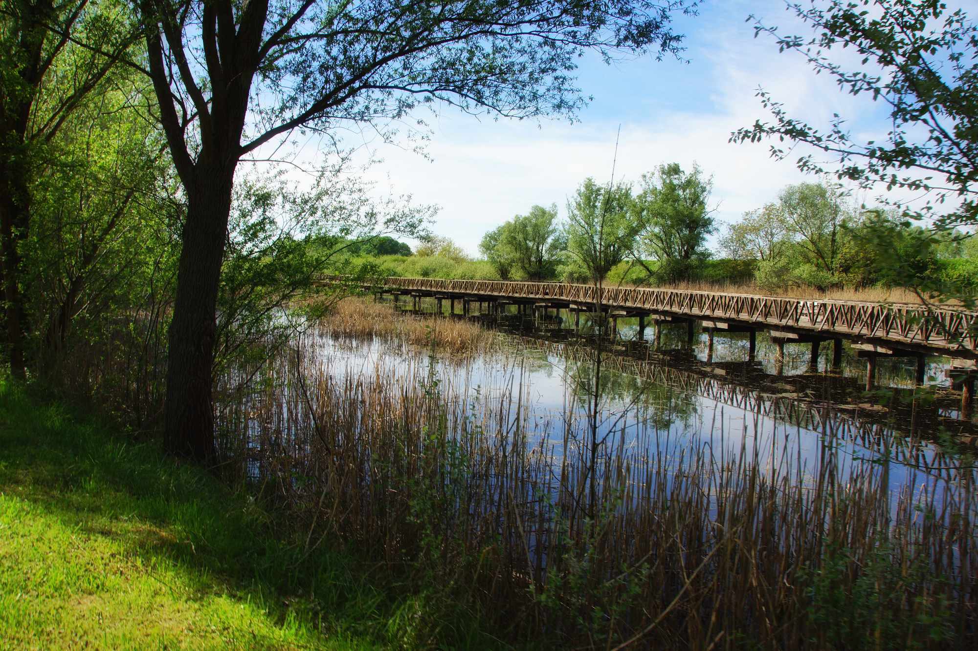 Grad na Dravi, Zoološki vrt i Kopački rit iz perspektive Tonija Šimunića