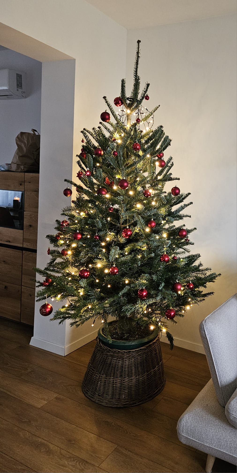 Najljepši borovi na Božić 2023. Najljepši borovi na Božić 2023.