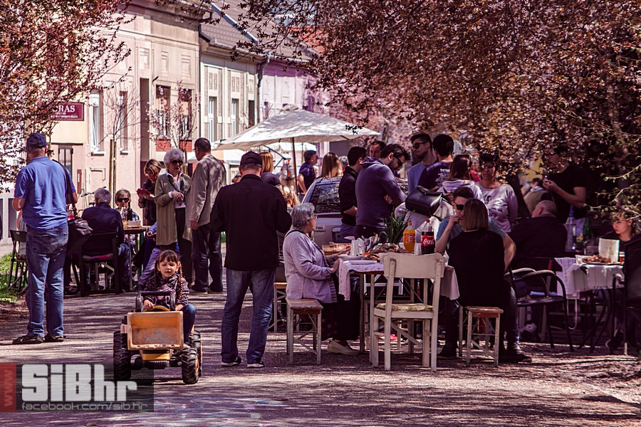 ulica_ringlova_ivica_benic_sibh