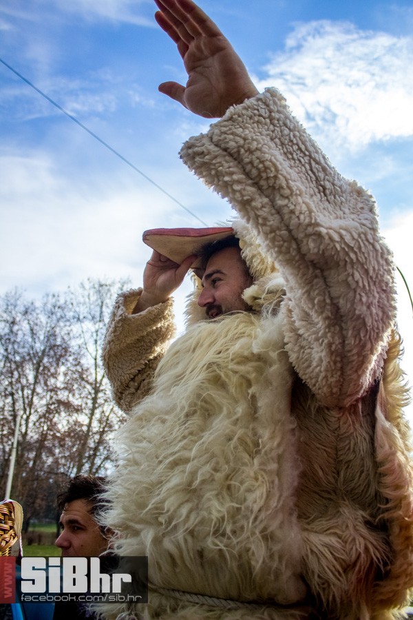 baranjske_buse_u_osijeku_15