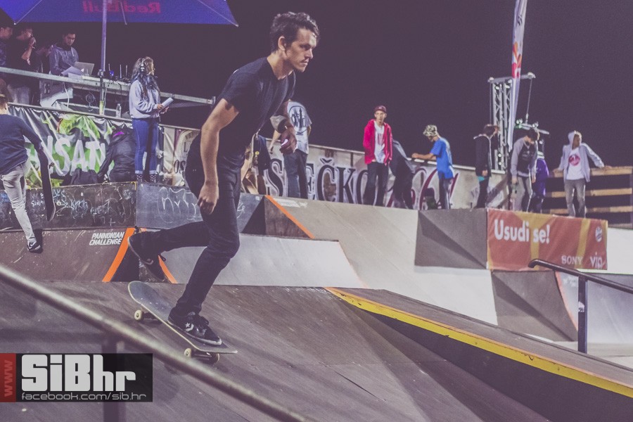 pannonian_petak2015_SiBhr94