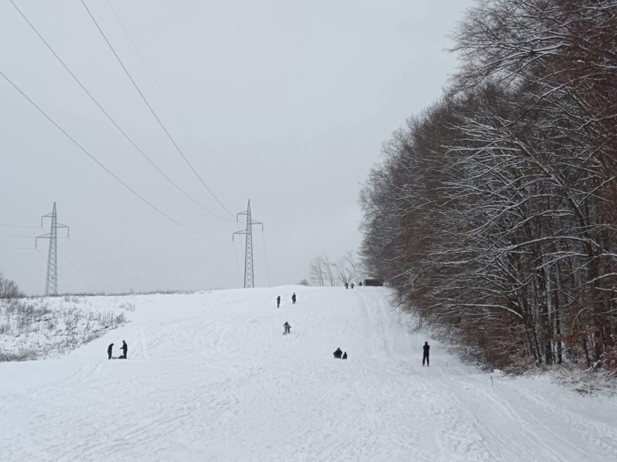 5228fa5b-72b7-48f0-b233-ff95c34edbba