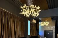 Hedonic club Hedonic club