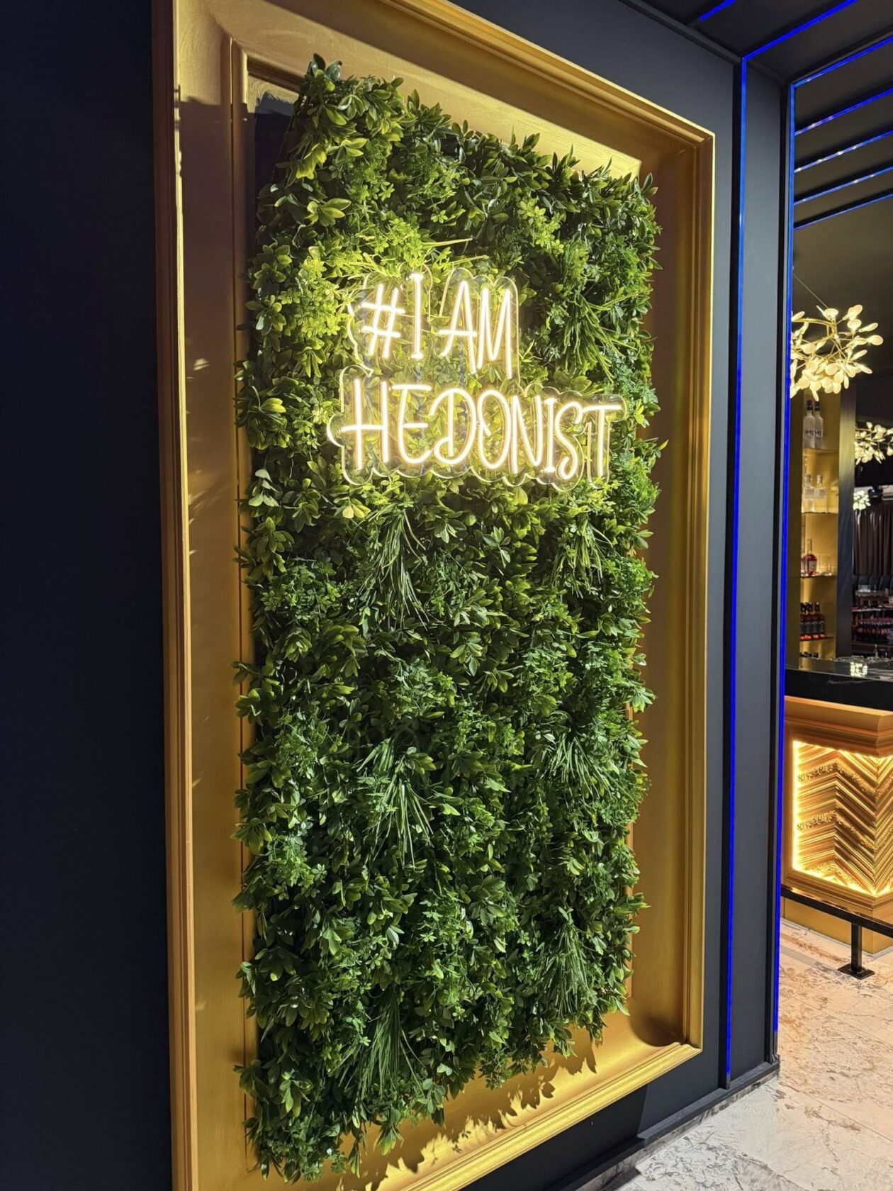 Hedonic club Hedonic club