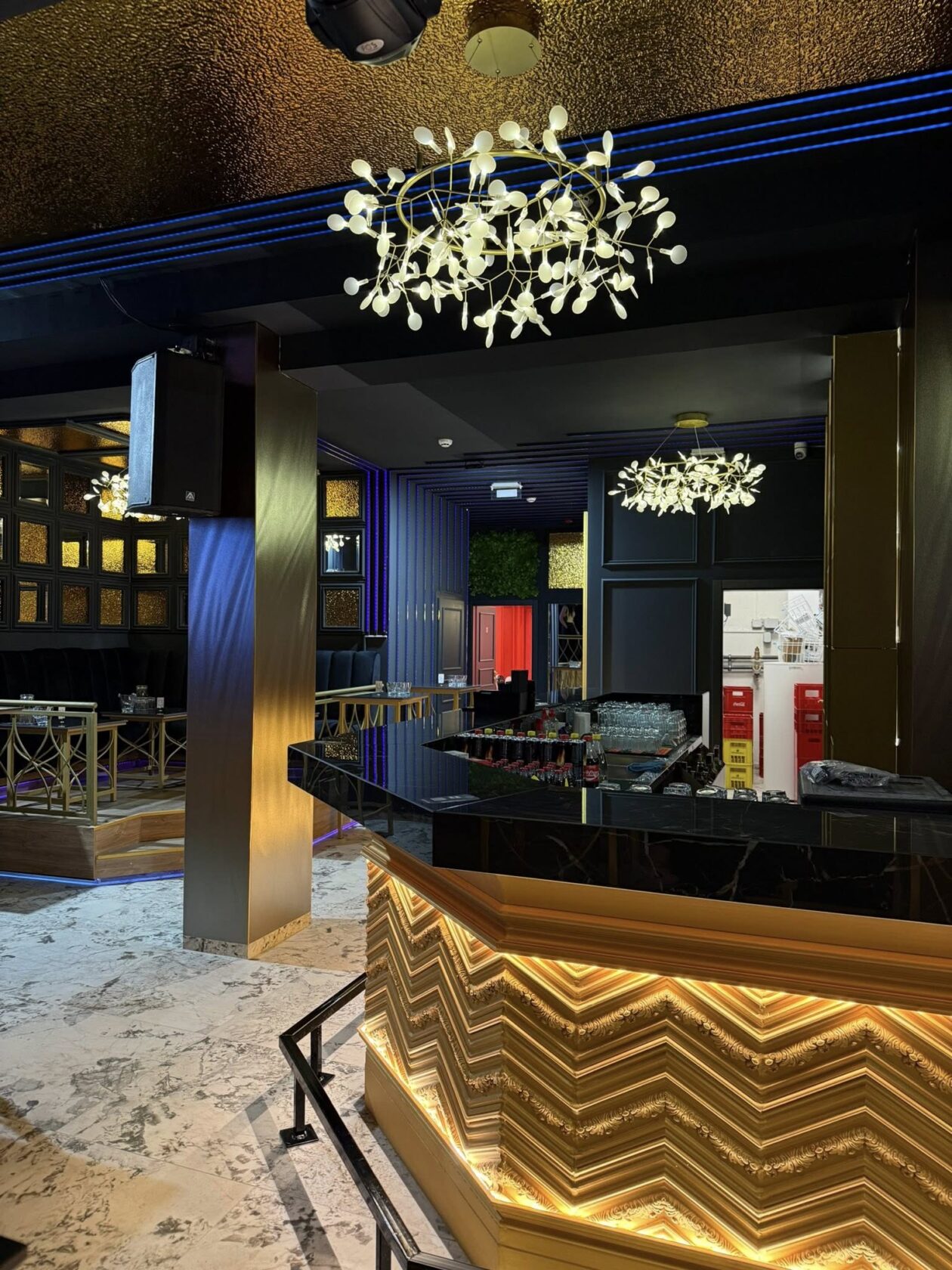 Hedonic club Hedonic club