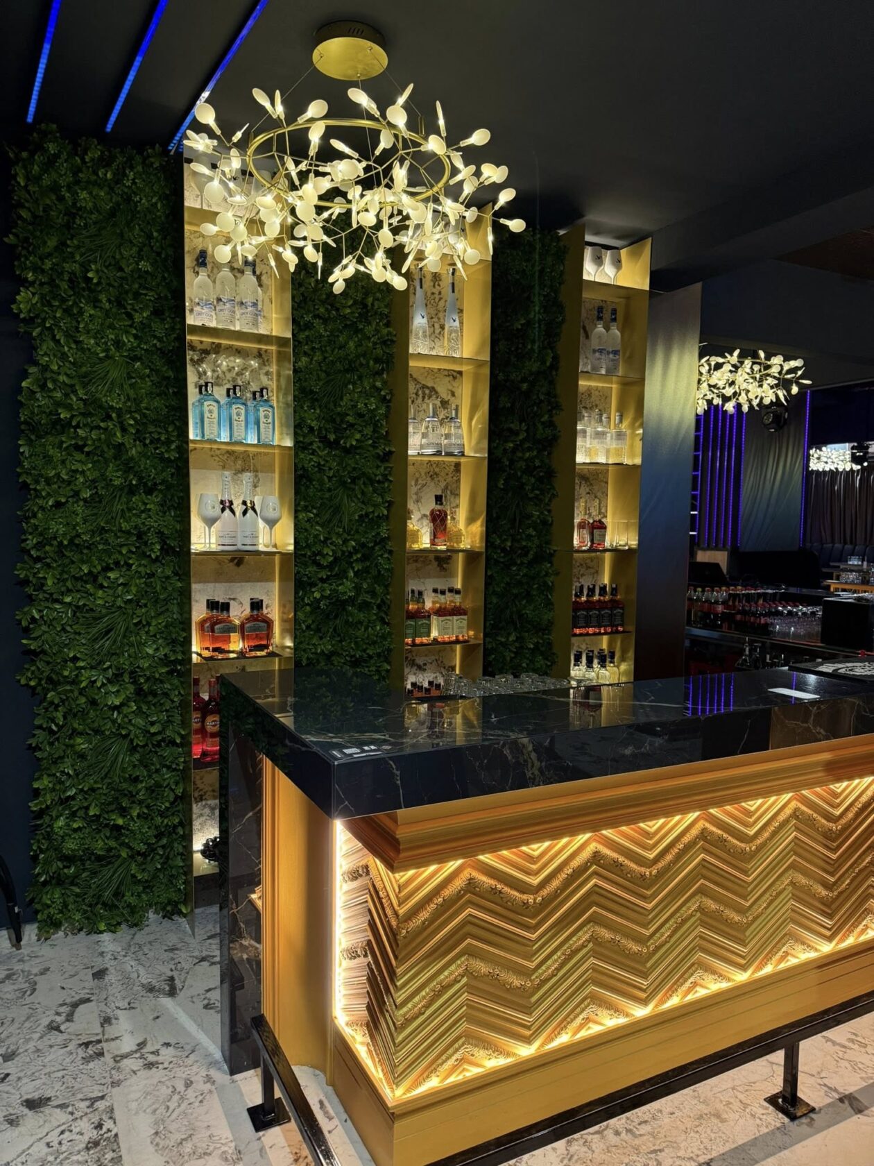 Hedonic club Hedonic club