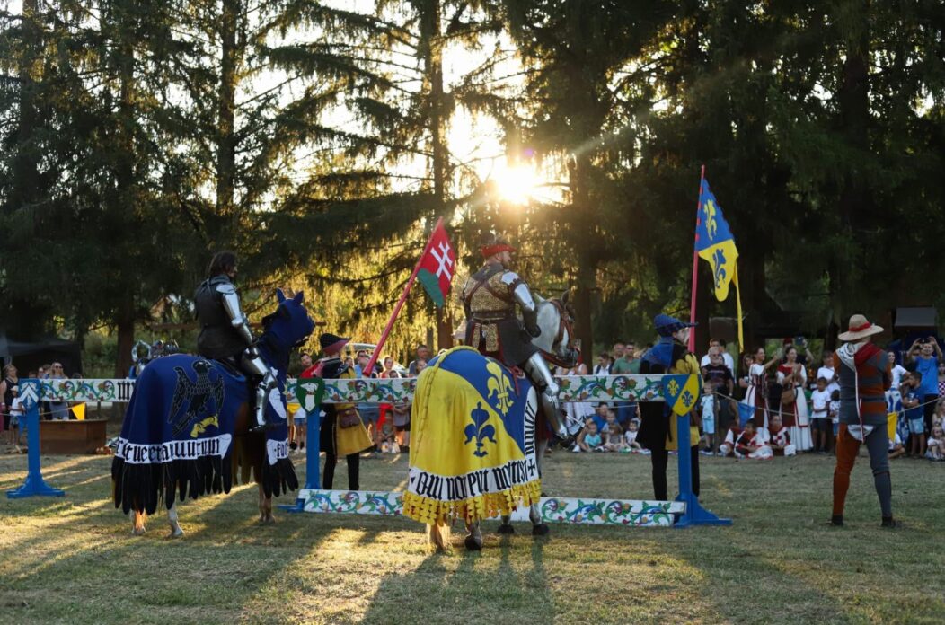 527774530_1149661753876197_1685981733993623292_n 527774530_1149661753876197_1685981733993623292_n