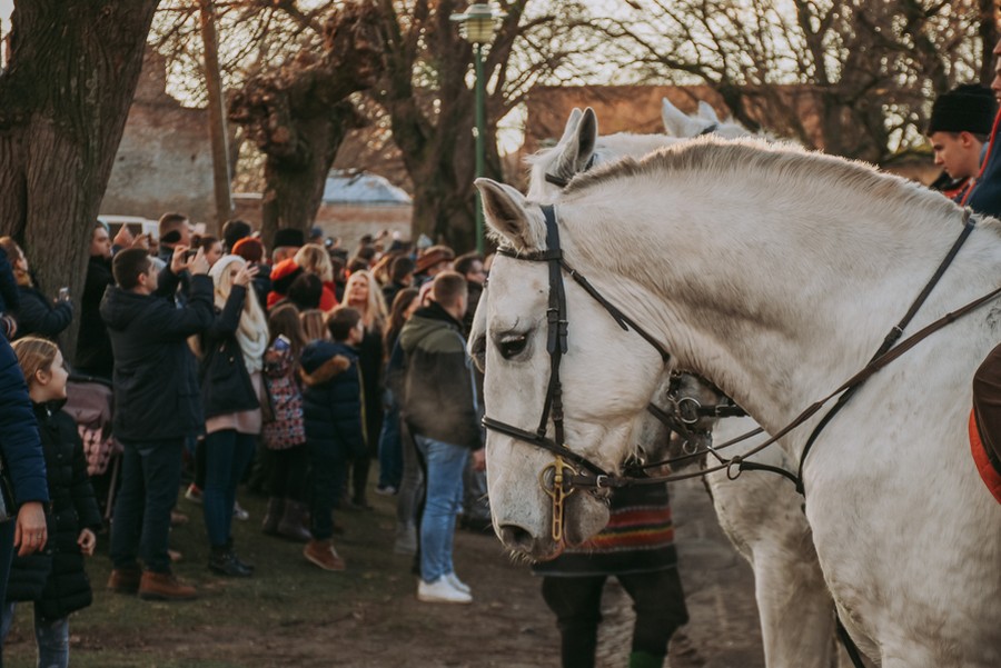 vinkovo_ilok_43