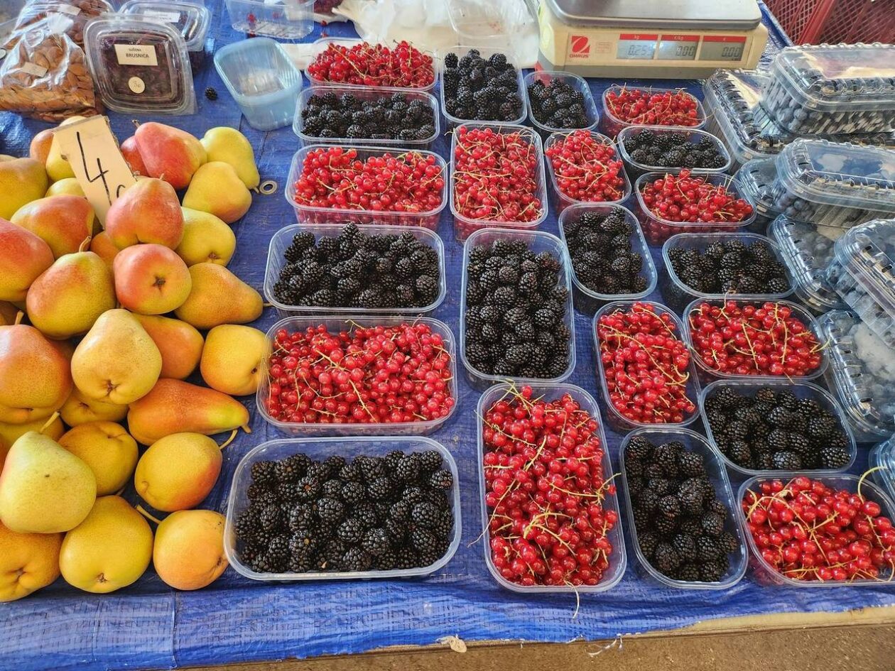 Osječka tržnica 9.8.2025. Osječka tržnica 9.8.2025.