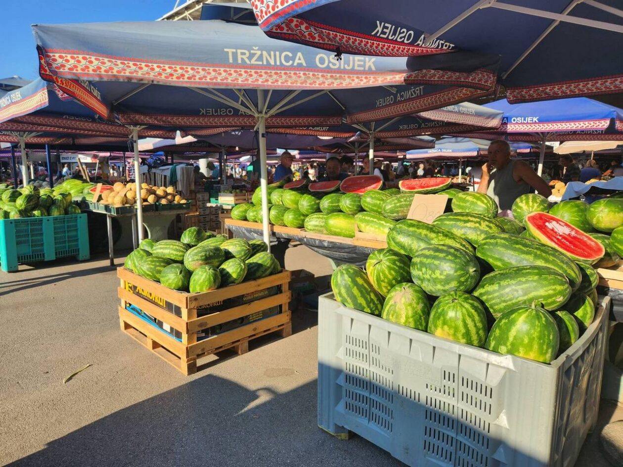 Osječka tržnica 9.8.2025. Osječka tržnica 9.8.2025.