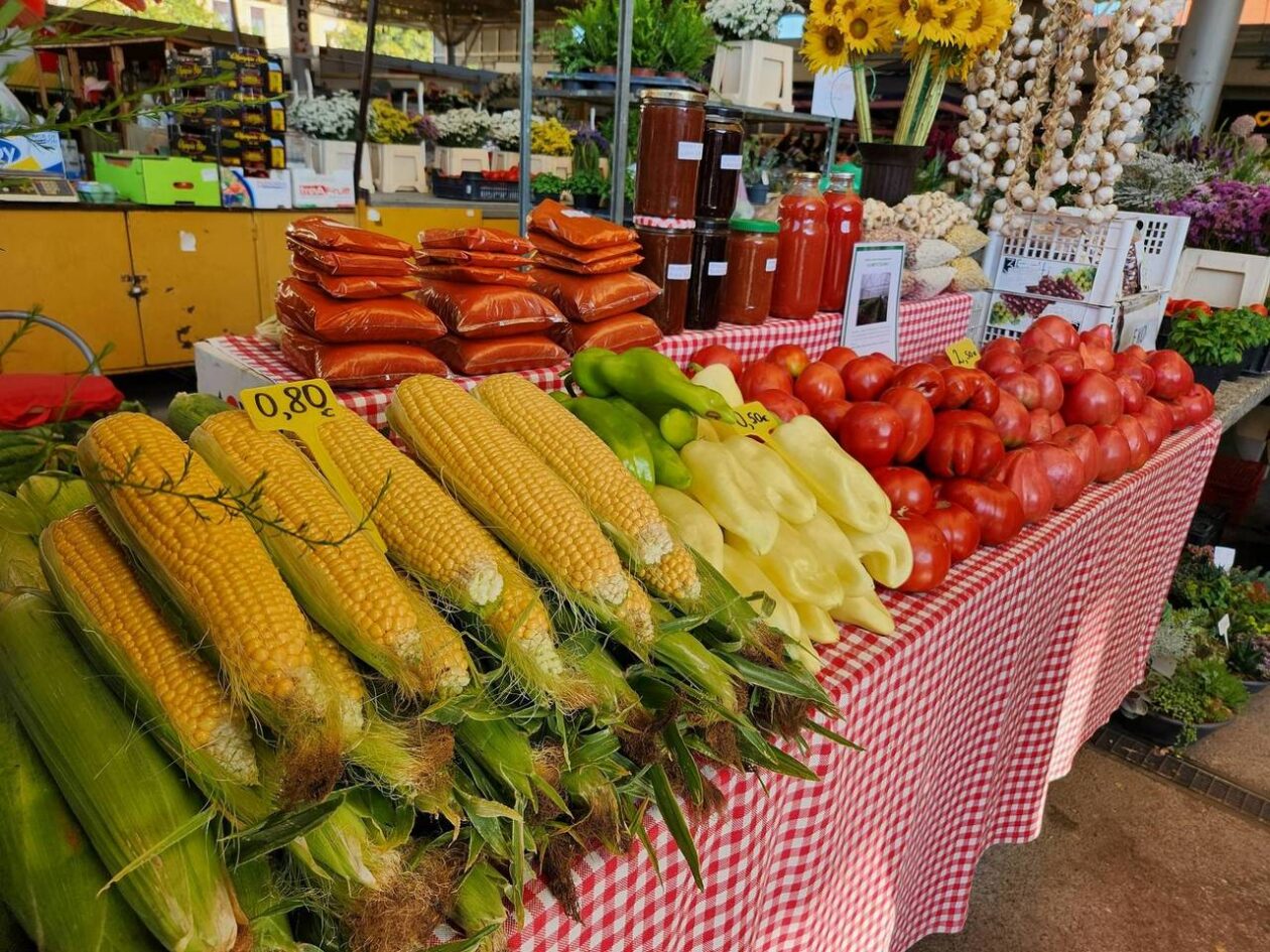 Osječka tržnica 9.8.2025. Osječka tržnica 9.8.2025.