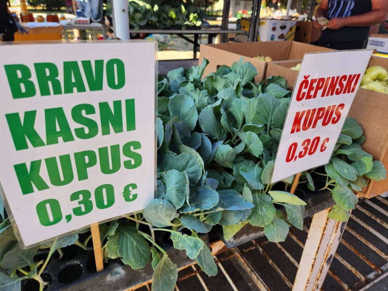 Osječka tržnica 9.8.2025. Osječka tržnica 9.8.2025.